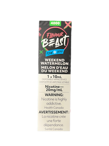 flavour beast 4000 disposable 
